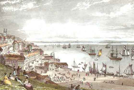  Cork Harbour by Bartlett